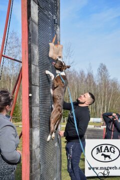 377908327_323133843708601_493158639400292587_n